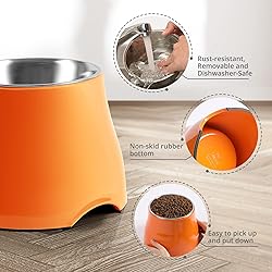 yoken Elevated Dog Bowls, [Prevention of Vertebrae