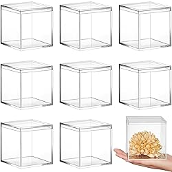 Blulu 8 Pieces Clear Acrylic Plastic Jewelry Box