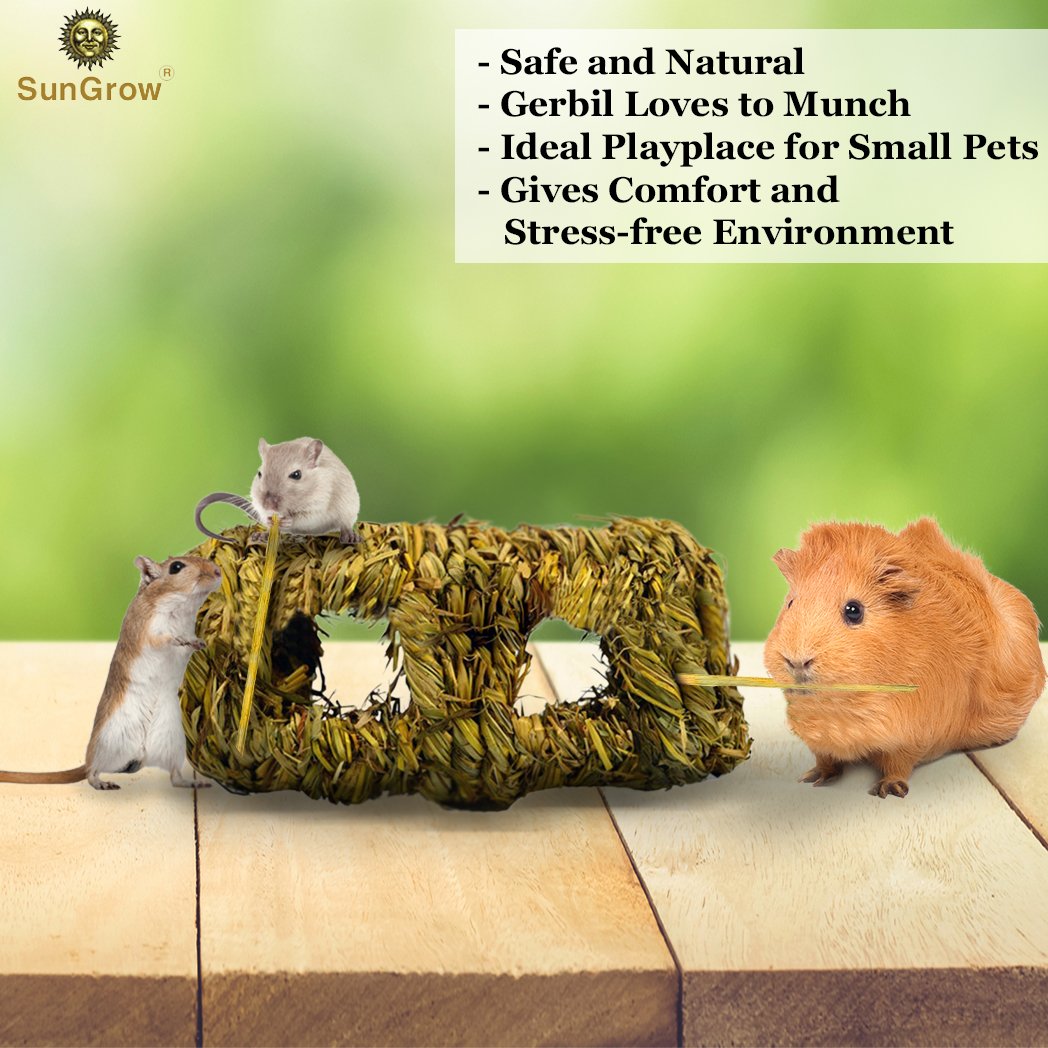 Hand-woven Seagrass Tunnel Toy --- Small Animal Activity Center from SunGrow - Pet-safe, all natural grass tunnel house - Perfect for Rabbits, Gerbils, Hamsters and Chinchillas