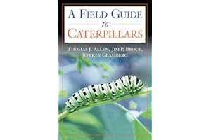Caterpillars in the Field and Garden: A Field Guide to the Butterfly Caterpillars of North America