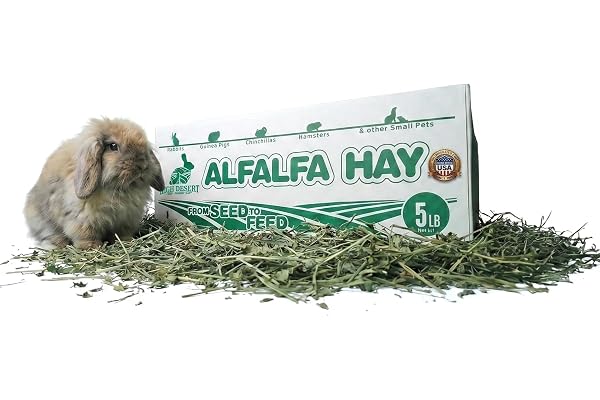 High Desert Alfalfa Hay, Protein Rich Soft Leaf Food for Young Growing Animals, Natural Rabbit Food and Guinea Pig Hay, Supports Digestive Health, Small Pet Supplies, Fresh Hand Packed 5 Lb Box | Protein Rich Soft Leaf Forage, Ideal For Growing Kits And Nursing Mothers, Great Calcium Source, Hand Packed, Low Dust