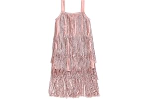 WALLARENEAR Kids Sequin Fringe Dress Sparkling Tassel Sleeveless Dress Little Girls Dance Wear Party Latin Dance Dress 1-10Y