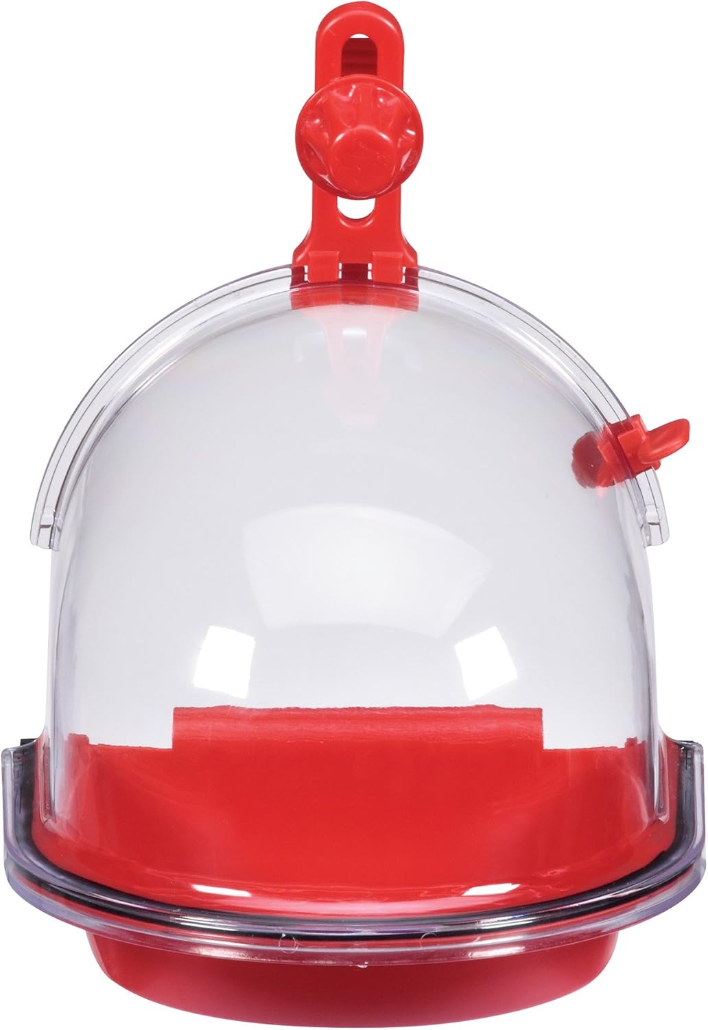 JW Pet Company Insight Bird Bath Bird Accessory : Finch Supplies : Pet Supplies