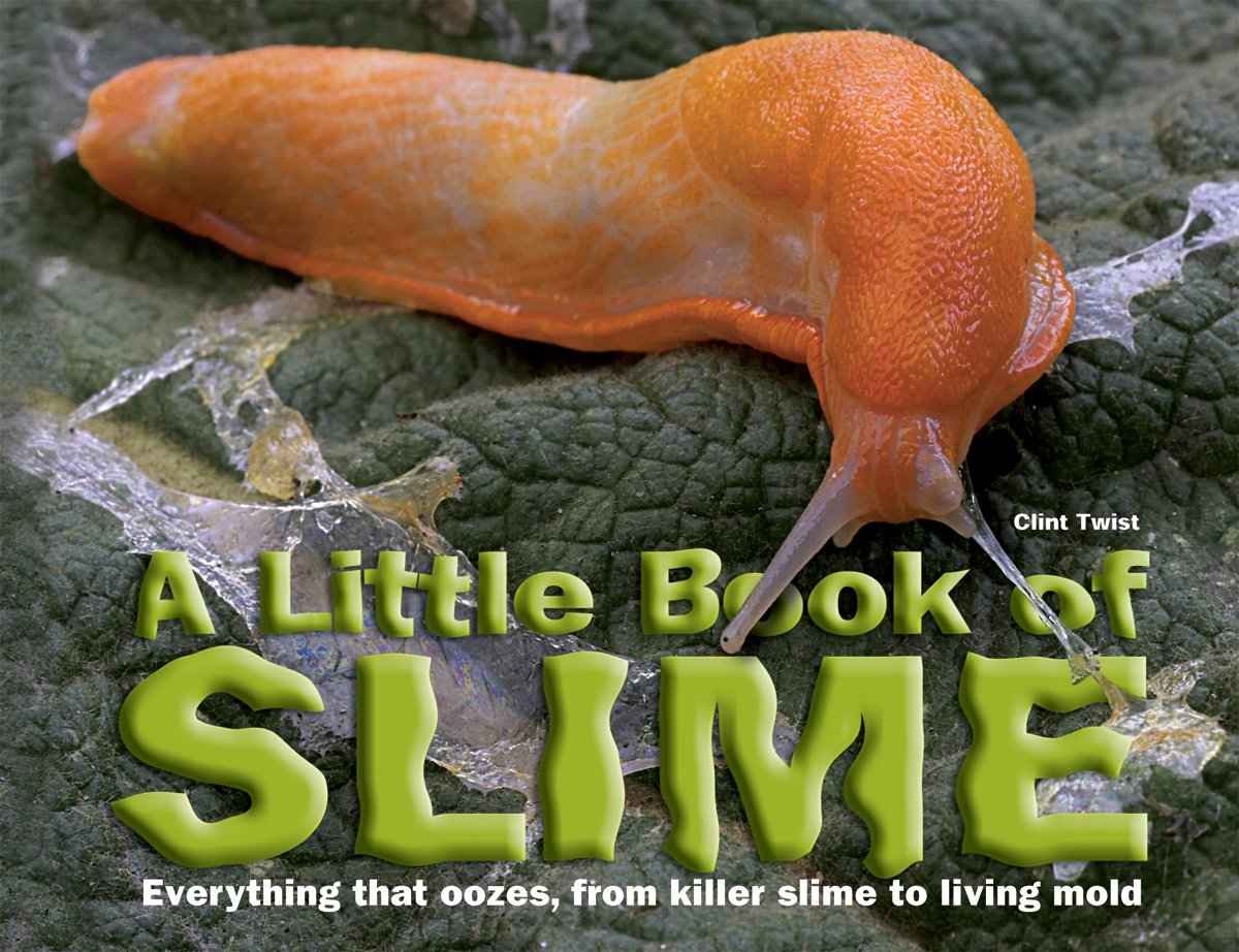 slime book amazon