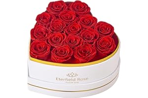 Eterfield Forever Flowers in Heart Shape Box, Preserved Roses That Last a Year Preserved Flowers Birthday Gifts for Her Mom Women Wife Anniversary Valentine's Day Mother's Day (16 Roses, Red)