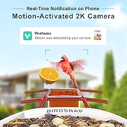 birdsnap® TUC Smart Bird Feeder with Camera 2K