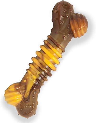 Nylabone Extreme Tough Dog Chew Toy Bone Small Up to 11 kg