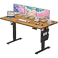 Marsail Standing Desk Adjustable Height,63"*24" Electric Standing White Deskwith Storage Bag,Sit Stand up Deskfor Home Office Writing Computer Table,4 Memory Preset with Headphone Hook,Cable Manager