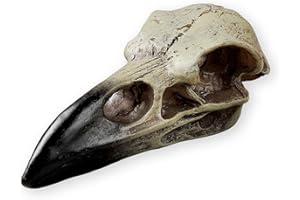 SHUS LIVE Halloween Raven Skull, Gothic Raven Decor Statue Animal Skull, Fake Bone Decor Crow Necklace Head Jewelry Pendant, Bird Skeleton Mask Crown, Witchy Gift for Men and Women (1 Pack)