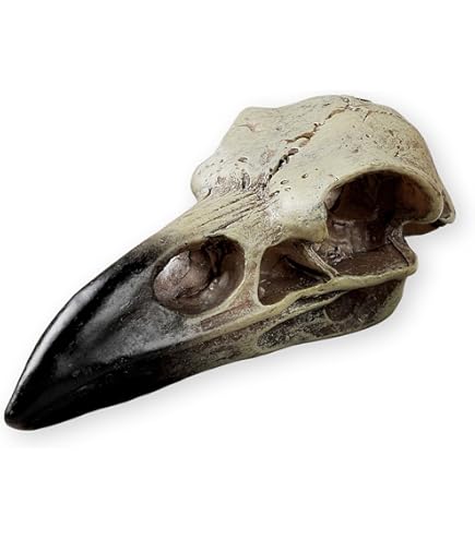 SKULL CROW RAVEN WINE GLASS Halloween SILVER METAL Stem Gothic NEW Heavy 4