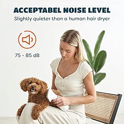 2-in-1 Dog Hair Dryer with Slicker Brush for