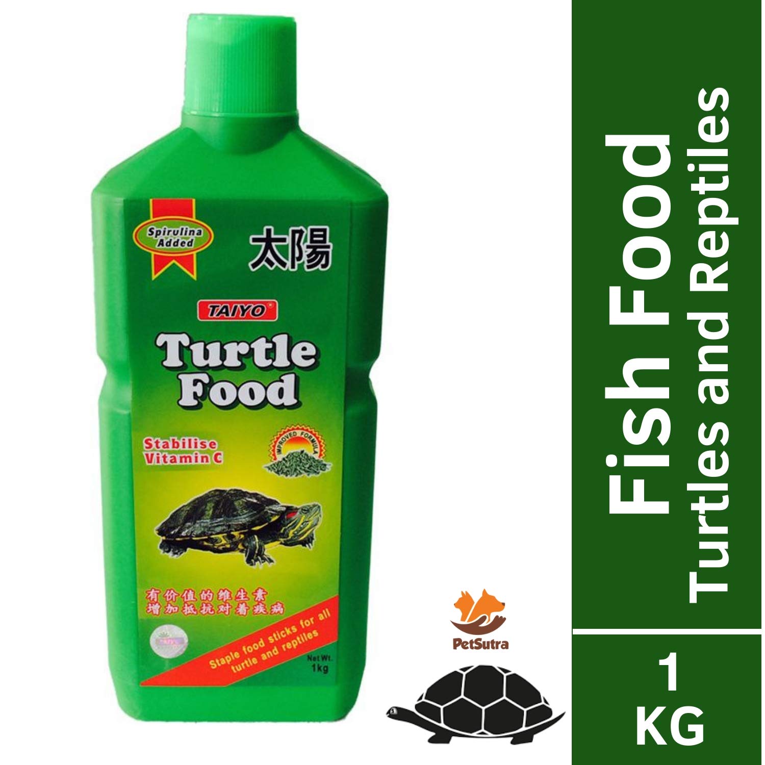 is turtle a reptile or an amphibian