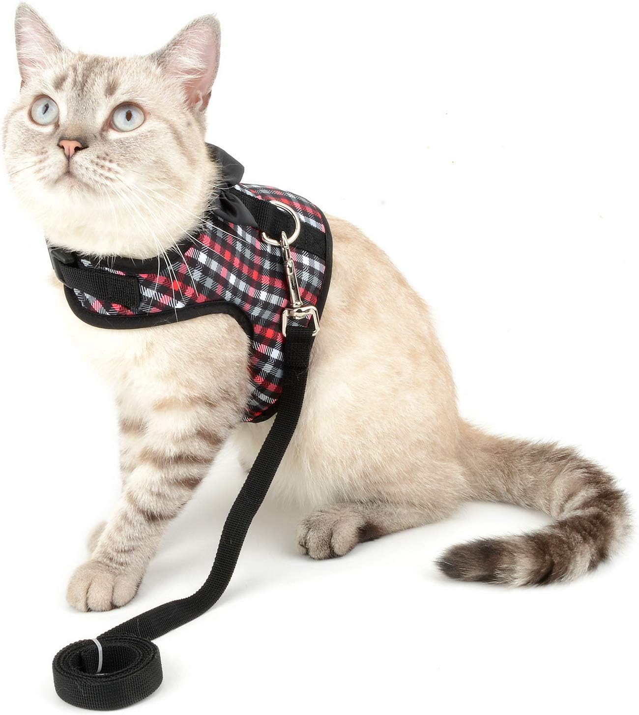 Harnais Veste Zunea Harnais Et Laisse Pour Chien Petite Taille Et Chat Anti Traction Coton Doux Rembourre Plaid Veste Avec Nœud Anti Evasion Pour Chaton Chihuahua Gris Xs Animalerie Lemoncitylive Com