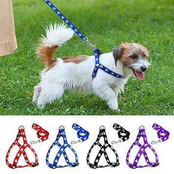 PSK PET MART Nylon Adjustable Printed Dog Harness (Blue, 0.75-inch)