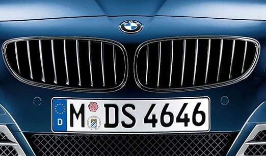 Amazon Com Bmw Performance Black Kidney Grille For Z4 E89 Automotive