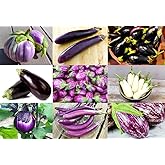 This is A Mix 30 Eggplant Mix Seeds 11 Varieties Heirloom Non-GMO | Aubergine, Asian, European, Italian, White, Profilic, Super Delicious, From USA Solanum melongena