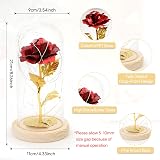 ADAZ 24K Eternal Rose in Glass Dome with LED Light for Her Gift view 2