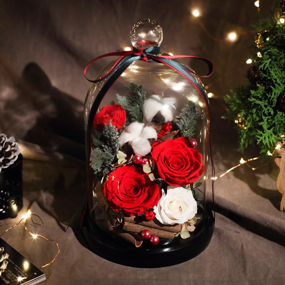 Amazon Com Xj Dd Eternal Flowers Eternal Red Rose Romantic Rose