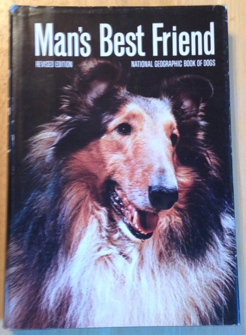 dog is mans best friend