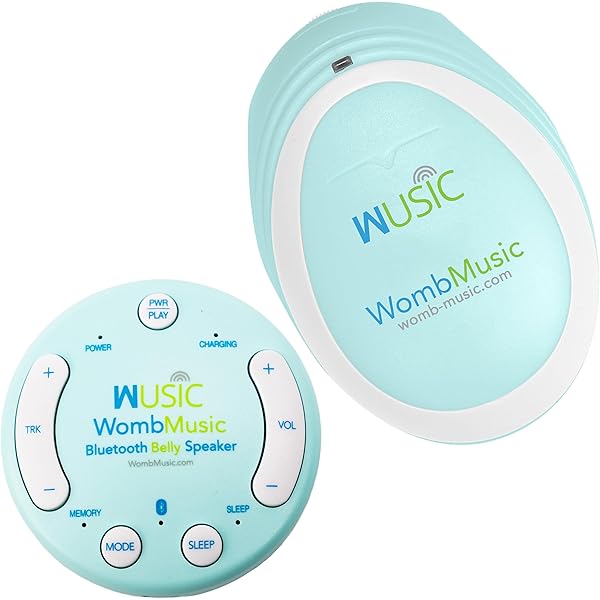 Amazon.com : BabyPlus Prenatal Education System, Plays