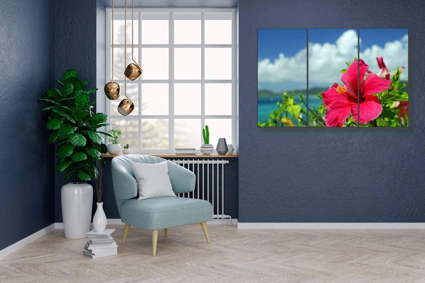 Amazon Co Jp ハイビスカス 沖縄県 花 海 八月ポスター パネル 現代壁の絵 壁掛け 部屋飾り 背景絵画 壁アート 完成品 3枚セット すぐ飾る ホーム キッチン