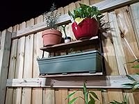 Review Image by Andy Andy