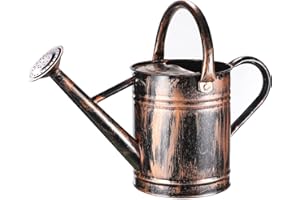 WEHOME 1 Gallon Watering Can for Outdoor Plants and Indoor Plants，Premium Galvanized Steel Plant Watering Can Watering Pot with Handles，Metal Flower Watering Can with Removable Sprinkler Head，Rustic Copper