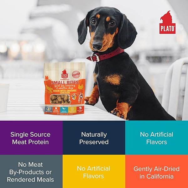 PLATO SMALL BITES NATURAL TRAINING DOG TREATS – REAL MEAT – GRAIN FREE – MADE IN THE USA – ORGANIC CHICKEN FLAVOR, 6 OUNCES