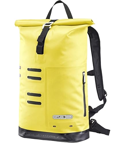 Amazon.com: ORTLIEB Back Roller Classic QL21 : Sports & Outdoors
