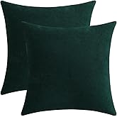 Qanatmz Hunter Green Cozy Soft Throw Pillow Covers, Army Green Decorative Chenille Square Couch Cushion Cases for Sofa Decor, Set of 2, 18 x 18 Inches