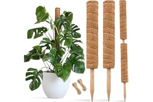 JOYSEUS 30 Inch Moss Pole for Climbing Plants - 2 Pack 15 Inch Coir Totem Pole Plant Support with 65 Feet Garden Twist Tie for Monstera and Potted Plants to Grow Upwards…
