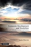 Economic Development and Transition: Thought, Strategy, and Viability