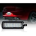 D-Lumina LED License Plate Light Tag Lamp Assembly Compatible with 2015-2023 Dodge Charger Challenger Chrysler 300 Pacifica and Compass, Powered by 18-SMD Xenon White LED 6500K 1-Pieces