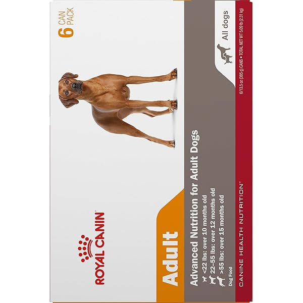 ROYAL CANIN CANINE HEALTH NUTRITION ADULT IN GEL DOG FOOD, 13.5 OZ (PACK OF 6)