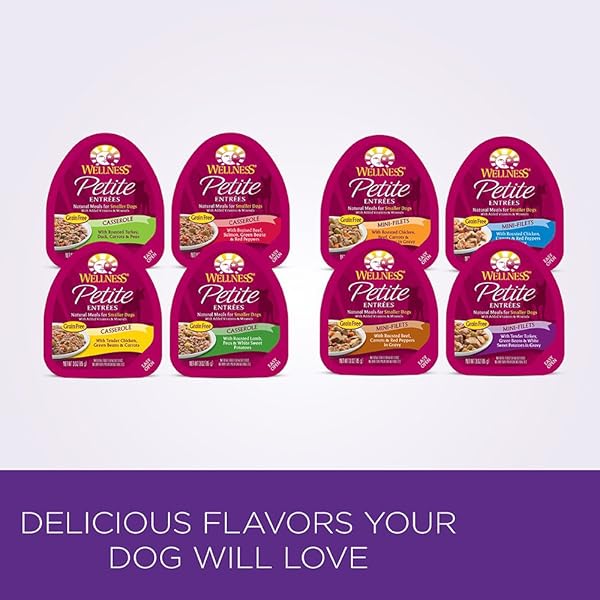 WELLNESS PETITE ENTREES CASSEROLE GRAIN FREE CASSEROLE TENDER CHICKEN NATURAL WET DOG FOOD, 3-OUNCE CUP