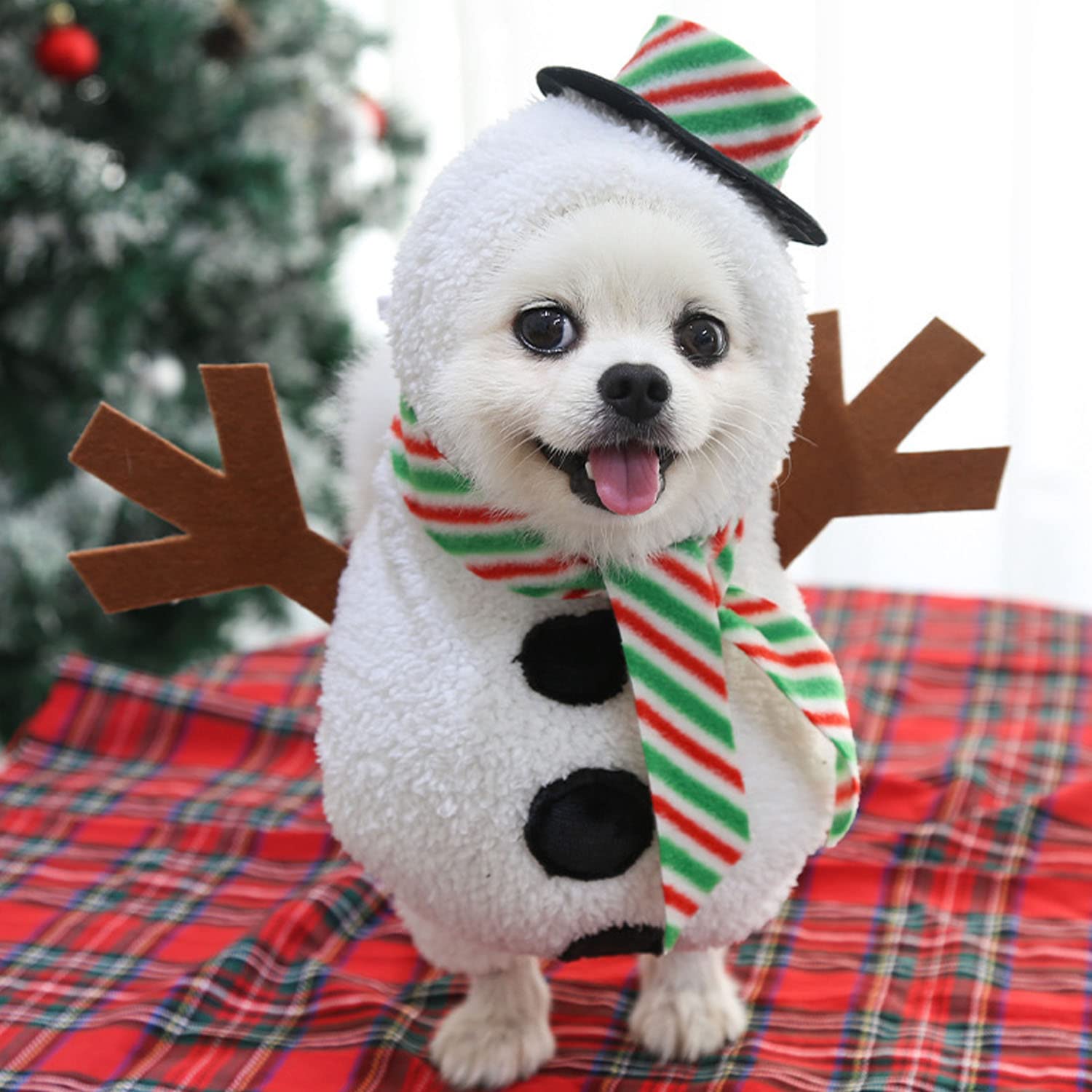 BT Bear Pet Christmas Costume,Dog Santa Claus Riding Suit Dress up Clothing Pet Xmas Outfit for Puppy Small Dogs (Large, Snowman)