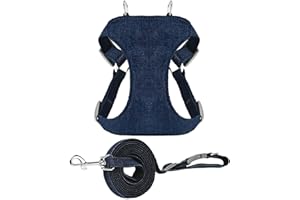 Adjustable Dog Harness, Quick-Drying Chest Harness Made with Sandwich Mesh, Denim Fabric, Nickel-Plated Metal and ABS Buckles