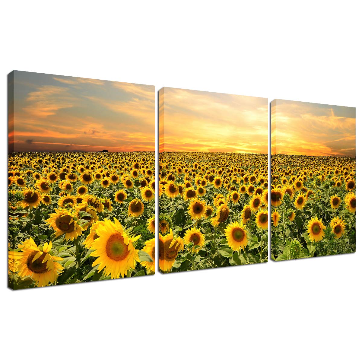 Sunflower Wall Decor Framed Prints - Home Office Canvas Painting for Living Room Decorations Kitchen Bedroom Set 3 Pieces Nature Photo Picture Artwork Landscape Sunset Posters 12''x16'' Ready to Hang