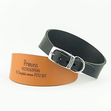 National Engraver Dog Collars Personalised Greyhound Lurcher