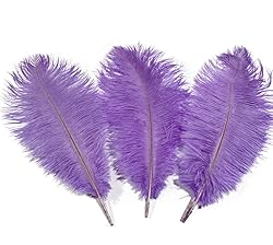 Lampu 10pcs Ostrich Feathers 12-14