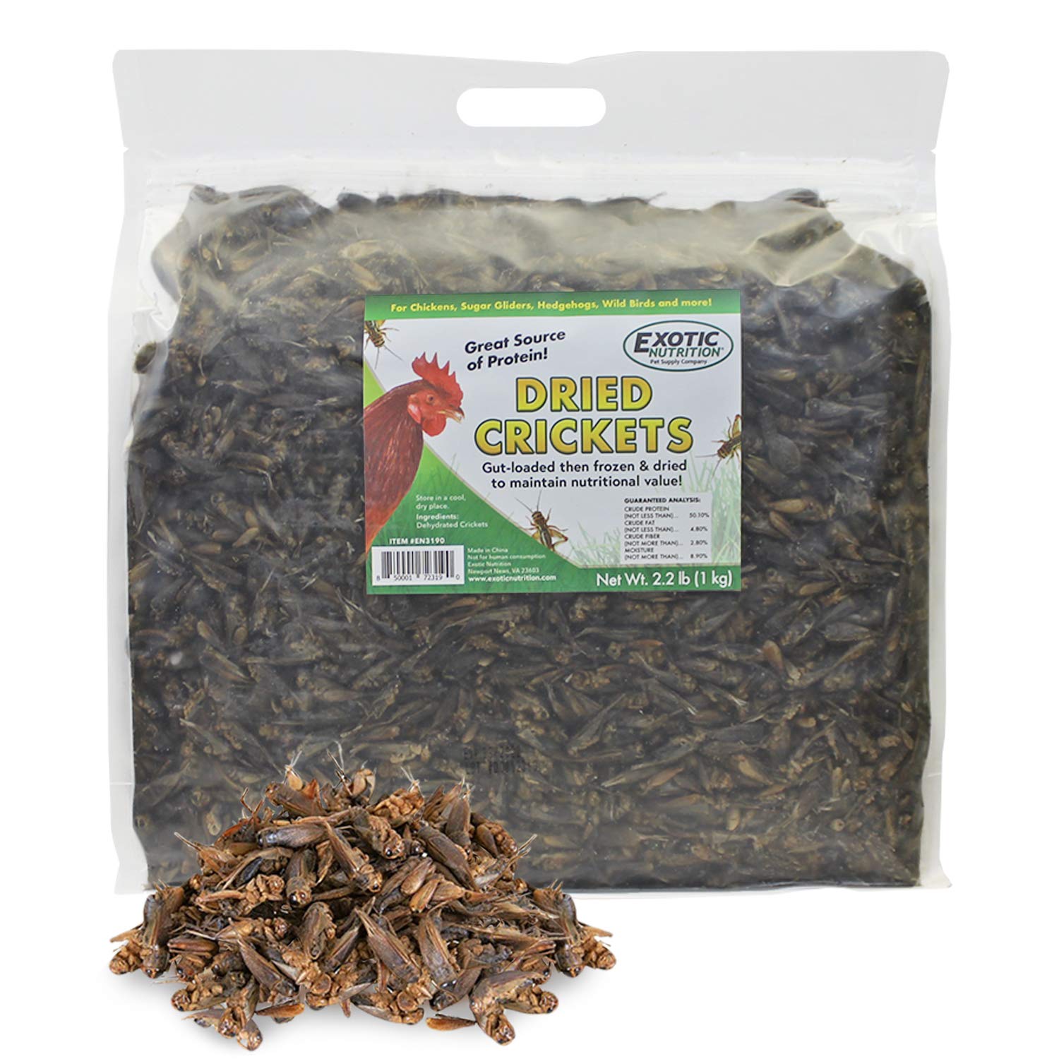 Buy Dried Crickets (2.2 lb.) High Protein Insect Treat Chickens