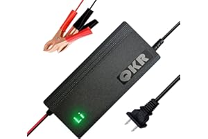 QKR 14.6V LiFePO4 Battery Charger 12V 10A Lithium Battery Charger Special for 12V Lithium Iron Phosphate Battery, Smart Charger with LED Indicator, Built-in Safety Protections, Support Fast Charging