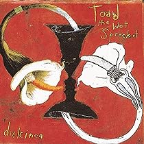 Toad The Wet Sprocket: Super Hits: Toad the Wet Sprocket