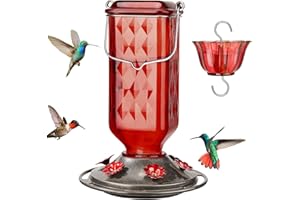 Kingsyard Glass Hummingbird Feeder for Outdoor Hanging, 24 Ounces, 6 Feeding Ports, Bird Nectar Feeder for Garden Décor, Ant 
