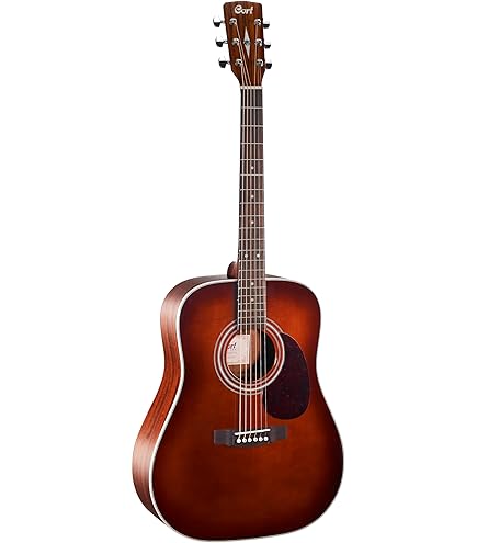 Amazon.com: Cort Earth Series Earth70 Acoustic Guitar, Solid