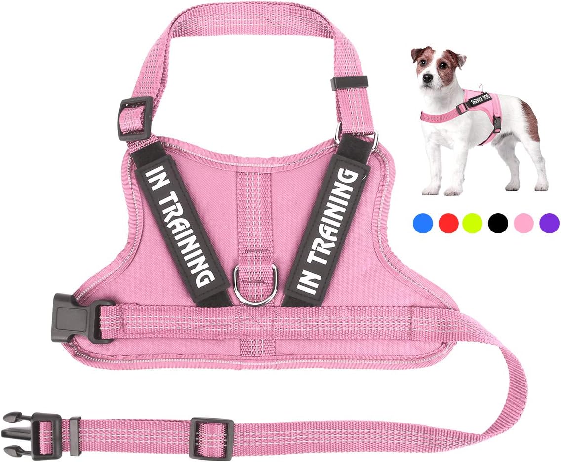 NOYAL in Training Dog Harness, Soft Breathable Mesh Dog