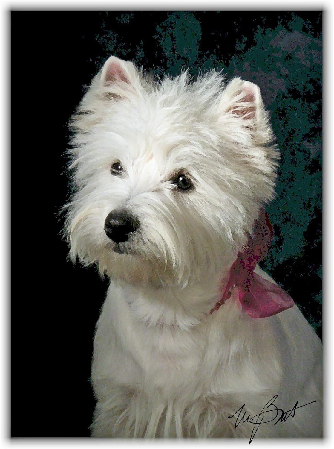 Photographs - West Highland White Terrier #2 Note cards