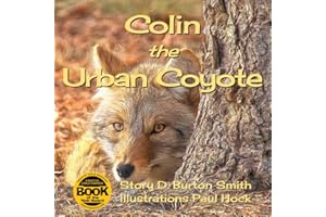 Colin the Urban Coyote
