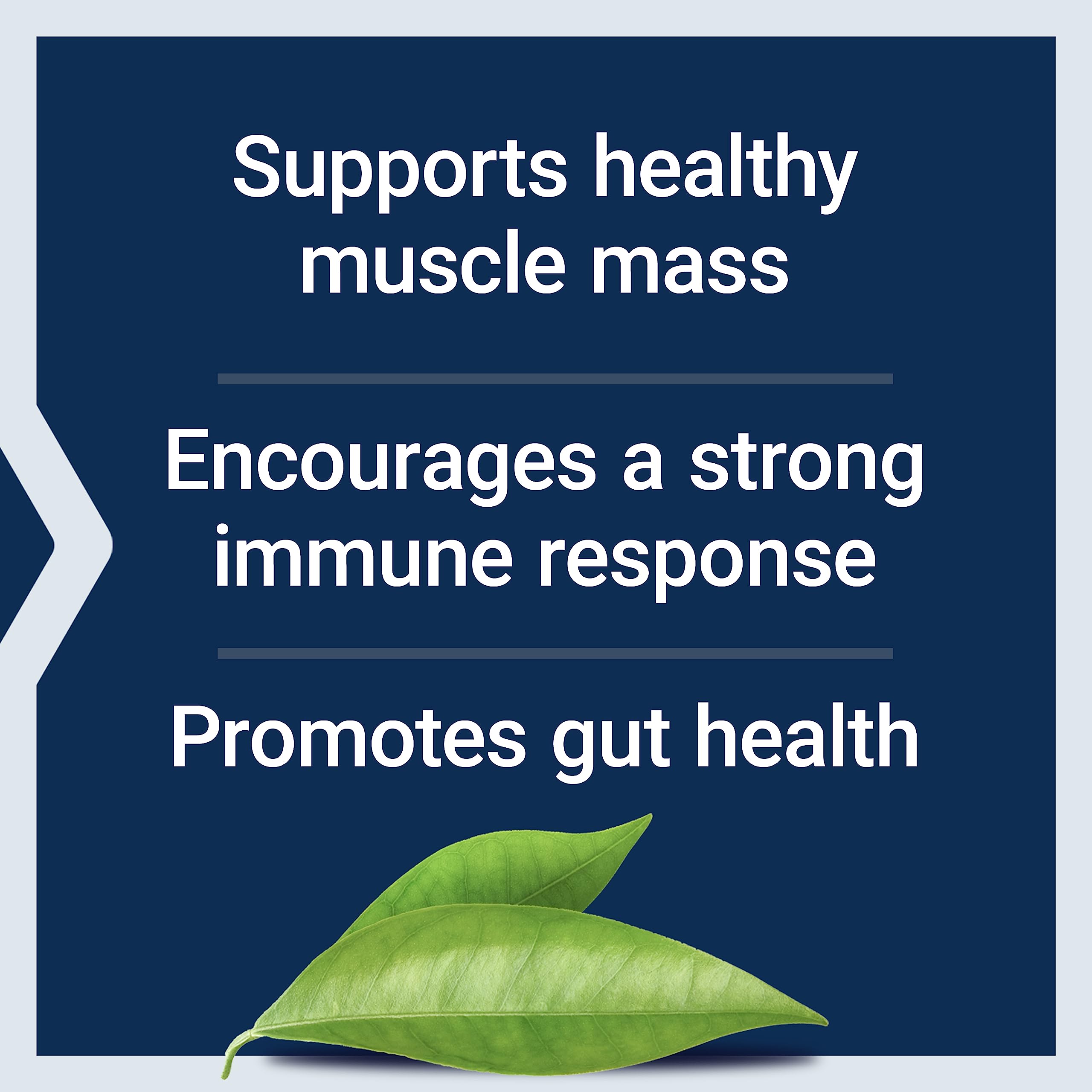 Life Extension L-Glutamine, 500 mg L-glutamine, Amino Acid, Supports Muscle Health and Immune Health, Gluten-Free, Non-GMO, 100 Vegetarian Capsules