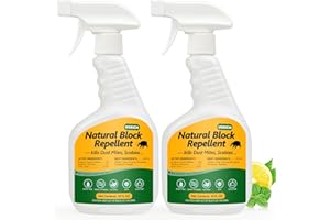 USKICH Mite Treatment Spray– 16 oz – Kills Dust, Scabies, Spider, Carpet, Bird, Mouse & Rat Mites for Home,Furniture,Bedding – Natural | Non-Toxic| Effective – Child & Pet Safe